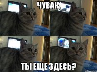 чувак, ты еще здесь?