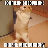 господи всесущий! скирнь мне сосиску