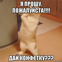 я прошу, пожалуйста!!!! дай конфетку???