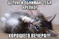 целую и обнимаю тебя крепко! хорошего вечера!!!