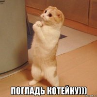  погладь котейку)))