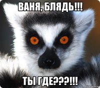 ваня, блядь!!! ты где???!!!