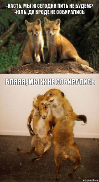 -Насть, мы ж сегодня пить не будем?
-Юль, да вроде не собирались бляяя, мы ж не собирались