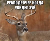 реалодрочер когда увидел хуй 