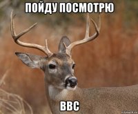 пойду посмотрю ввс