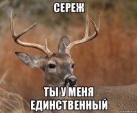 сереж ты у меня единственный