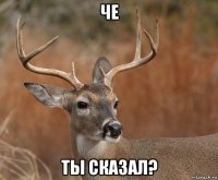 че ты сказал?