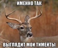 именно так выглядит мои тимейты