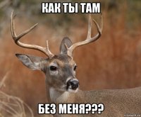 как ты там без меня???