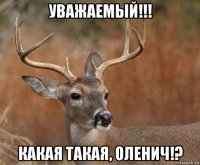 уважаемый!!! какая такая, оленич!?