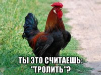  ты это считаешь: "тролить"?