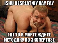 ishu besplatniy vay fay где то в марте ждите методику по экспертизе