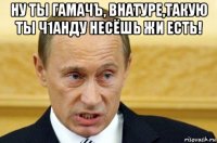 ну ты гамачъ, внатуре,такую ты ч1анду несёшь жи есть! 