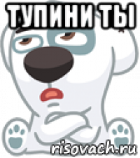 тупини ты 