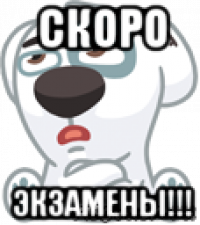 скоро экзамены!!!