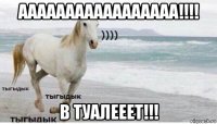 ааааааааааааааааа!!!! в туалееет!!!