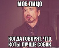 мое лицо когда говорят, что коты лучше собак