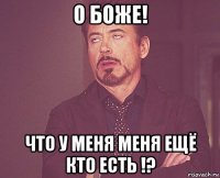 о боже! что у меня меня ещё кто есть !?