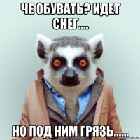 че обувать? идет снег.... но под ним грязь......