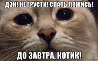 дэн! не грусти! спать ложись! до завтра, котик!