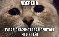 уверена тупая ска?(которая считает что я гей)