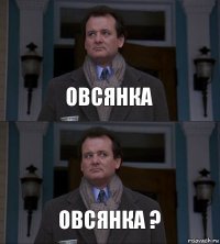 Овсянка Овсянка ?