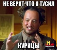 не верят что я тусил курицы