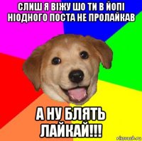 слиш я віжу шо ти в йопі ніодного поста не пролайкав а ну блять лайкай!!!