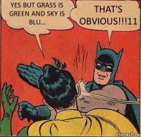 YES BUT GRASS IS GREEN AND SKY IS BLU... THAT'S OBVIOUS!!!11