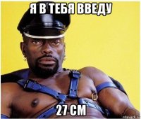 я в тебя введу 27 см