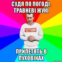 судя по погоді, травневі жукі прилетять в пуховіках