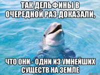 так дельфины в очередной раз доказали, что они - одни из умнейших существ на земле