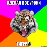 сделал все уроки тигррр!