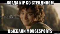 когда nip со стендином выебали mousesports