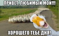 привет, любимый мой!!! хорошего тебе дня!