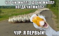 что читмилл? где читмилл? когда читмилл? чур, я первый!