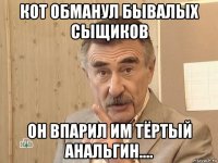 кот обманул бывалых сыщиков он впарил им тёртый анальгин....