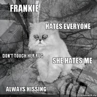 Frankie she hates me hates everyone always hissing don't touch her rug     