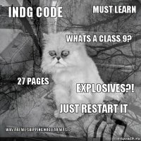 indg code explosives?! whats a class 9? why are we shipping nuclear wast? 27 pages must learn just restart it   