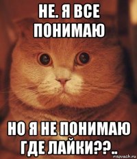 не. я все понимаю но я не понимаю где лайки??..