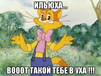 ильюха... вооот такой тебе в уха !!!