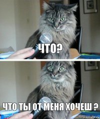 Что? Что ты от меня хочеш ?