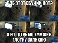 -где этот ебучий кот? я его дерьмо ему же в глотку запихаю