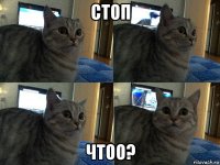 стоп чтоо?