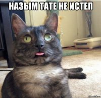 назым тате не истеп 