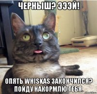 черныш? эээй! опять whiskas закончился? пойду накормлю тебя.