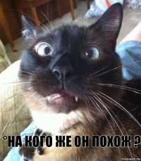  °на кого же он похож ?