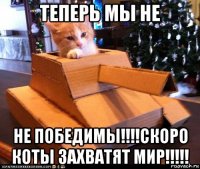 теперь мы не не победимы!!!!скоро коты захватят мир!!!!!