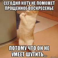 сегодня коту не поможет прощенное воскресенье потому что он не умеет шутить...