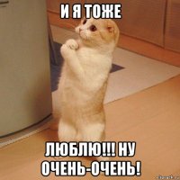 и я тоже люблю!!! ну очень-очень!